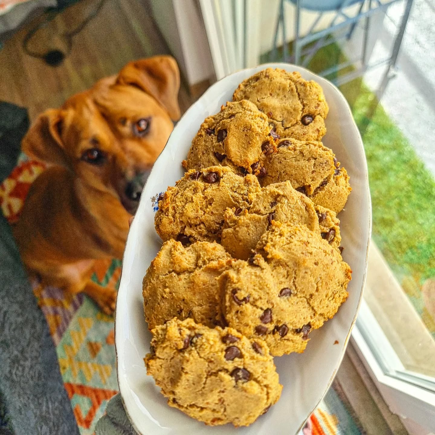 Cookies de grao de bico saudaveis