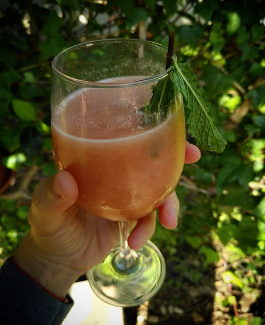 Sumo de melancia e hortelã